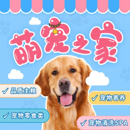 南开萌宠之家小程序开发