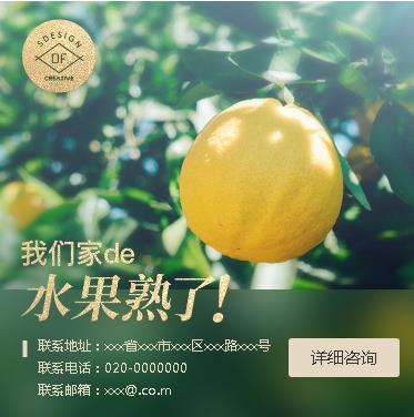 南开果园果林小程序开发